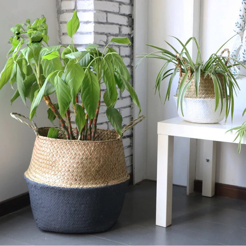 Eco-Friendly Bamboo Baskets