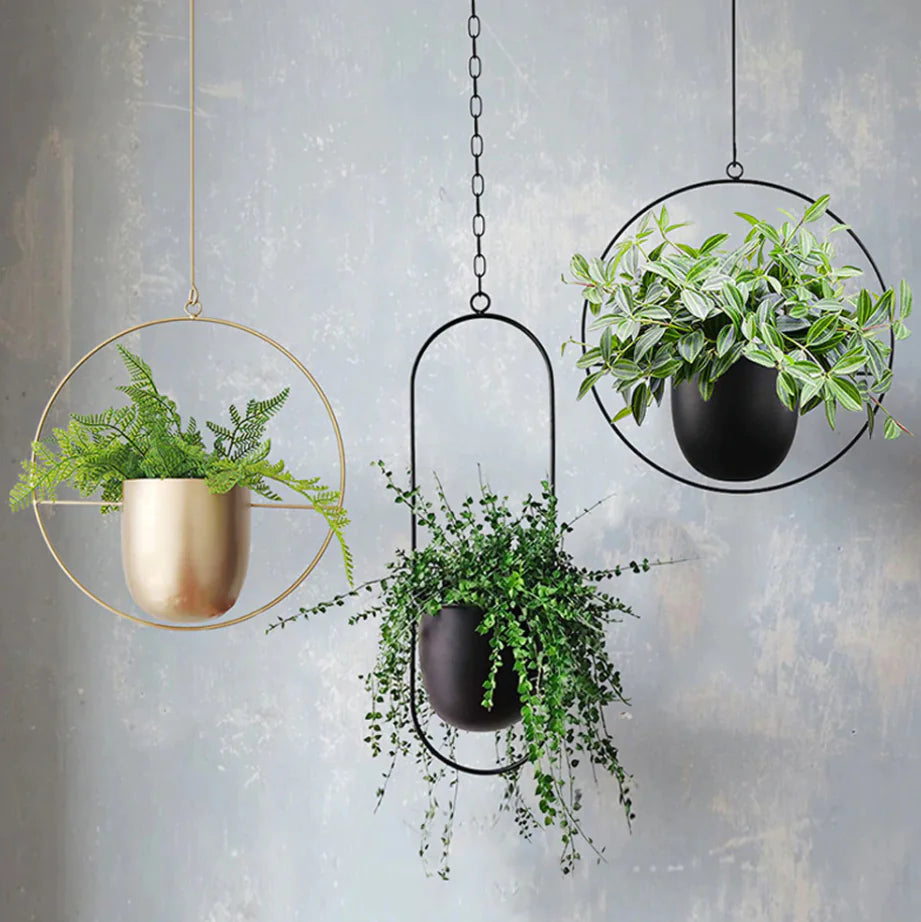 Decorative Hanging Planter